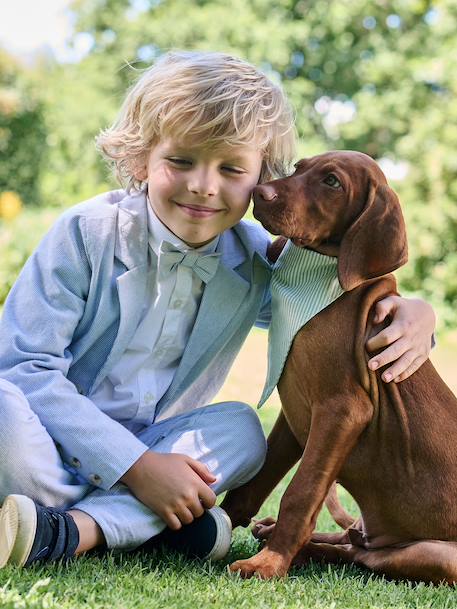 Striped cotton dog bandana sage green - vertbaudet enfant 