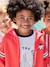 Sweat garçon motif placé rouge - vertbaudet enfant 