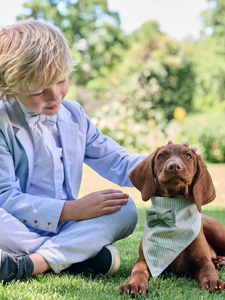 Striped cotton dog bandana sage green - vertbaudet enfant 