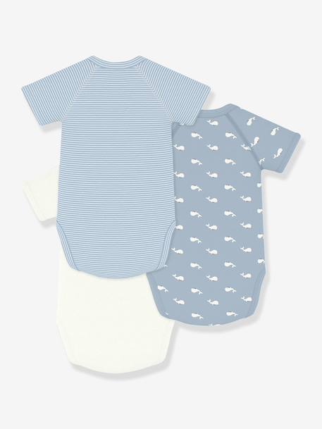 Lot 3 bodies croisés bébé Petit Bateau blanc - vertbaudet enfant 