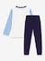 Cotton dog pyjamas for children PETIT BATEAU blue - vertbaudet enfant 