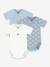 Lot 3 bodies croisés bébé Petit Bateau blanc - vertbaudet enfant 