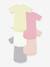 Pack of 5 short-sleeved baby bodysuits white - vertbaudet enfant 