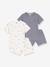 Pack of 2 PETIT BATEAU cotton pyjama shorts white - vertbaudet enfant 
