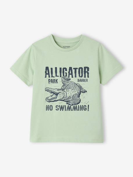 Lot 3 T-shirts manches courtes bleu pétrole+caramel+marine+noix de pécan+vert amande+vert sauge - vertbaudet enfant 