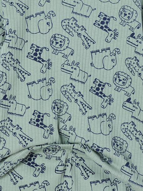 Boy's jungle pyjamas sage green - vertbaudet enfant 