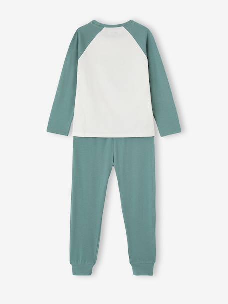 Pack of 2 cotton pyjamas for boys emerald green - vertbaudet enfant 