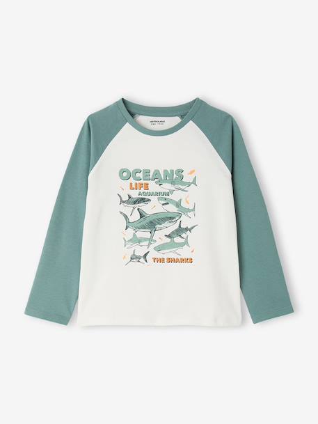 Pack of 2 cotton pyjamas for boys emerald green - vertbaudet enfant 