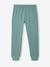 Pack of 2 cotton pyjamas for boys emerald green - vertbaudet enfant 