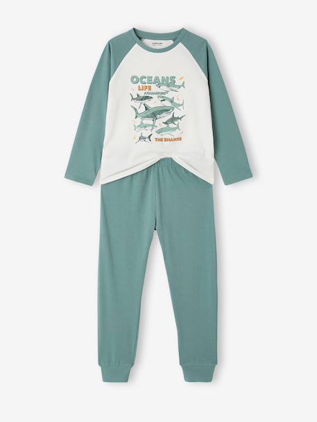 Pack of 2 cotton pyjamas for boys emerald green - vertbaudet enfant 