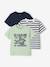 Lot 3 T-shirt manches courtes bleu pétrole+caramel+marine+vert amande - vertbaudet enfant 