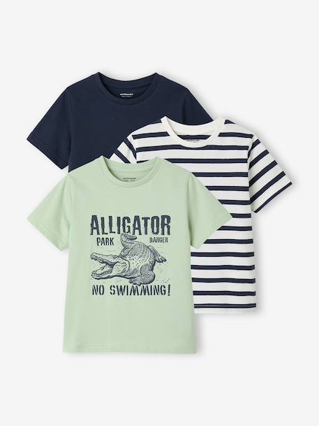 Lot 3 T-shirts manches courtes bleu pétrole+caramel+marine+noix de pécan+vert amande+vert sauge - vertbaudet enfant 