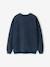Girl's Hamptons sweatshirt navy blue - vertbaudet enfant 