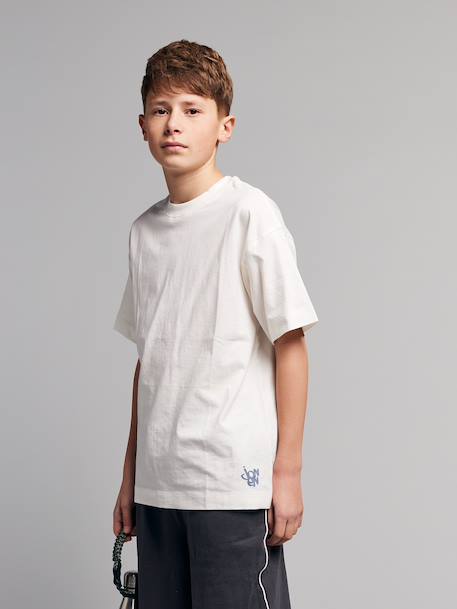 Pack of 2 short-sleeved t-shirts grey blue - vertbaudet enfant 