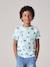 Printed boy's t-shirt denim blue+lichen+marl white+mint green - vertbaudet enfant 