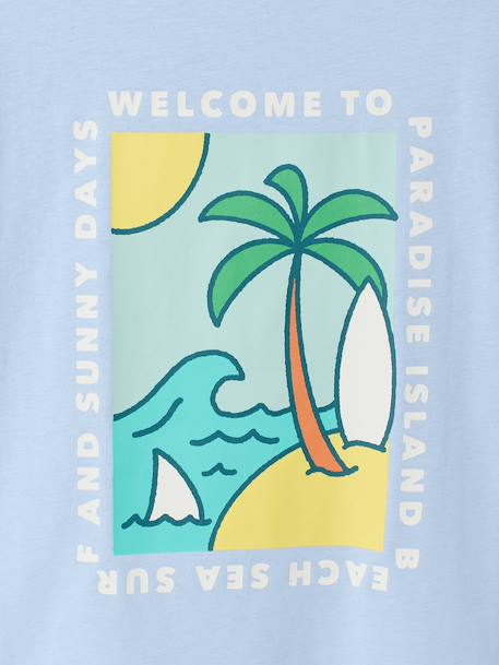 T-shirt garçon motifs devant et dos anthracite+blanc+bleu ciel+bleu océan+bois de rose - vertbaudet enfant 