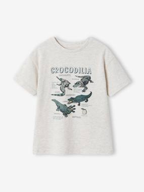 T-shirt manches courtes garçon - vertbaudet enfant Garçon-T-shirt, polo, sous-pull-T-shirt-T-shirt manches courtes garçon