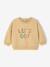 Long-sleeved baby boy's sweatshirt cappuccino - vertbaudet enfant 