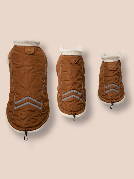 Dog rain coat caramel - vertbaudet enfant 