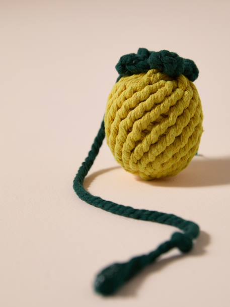 Pack of 2 dog rope toys with fruit design yellow - vertbaudet enfant 