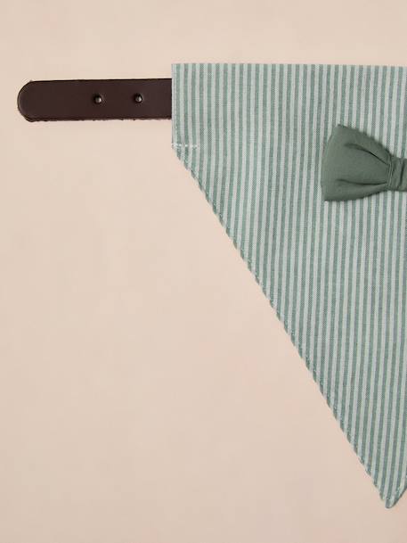 Striped cotton dog bandana sage green - vertbaudet enfant 