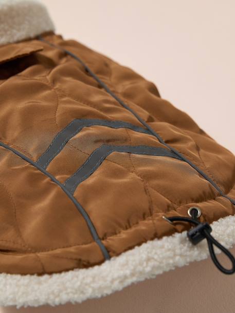 Dog rain coat caramel - vertbaudet enfant 