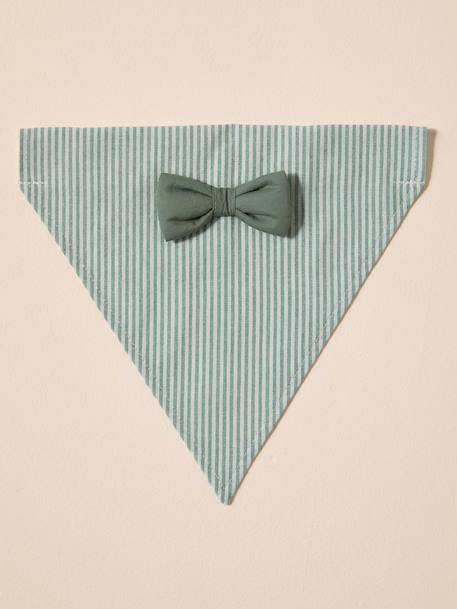 Striped cotton dog bandana sage green - vertbaudet enfant 