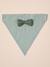 Striped cotton dog bandana sage green - vertbaudet enfant 
