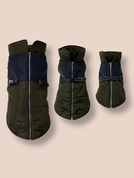 Lightweight jacket with dog zip and harness caramel - vertbaudet enfant 