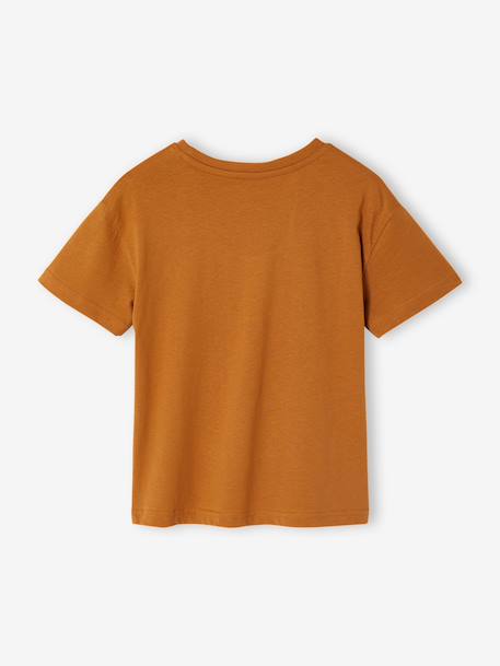 Boy's short-sleeved t-shirt pecan nut+sky blue - vertbaudet enfant 