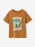 Boy's short-sleeved t-shirt pecan nut+sky blue - vertbaudet enfant 