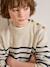 Pull rayé garçon rayé bleu - vertbaudet enfant 
