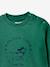 Soft baby sweatshirt mint green - vertbaudet enfant 
