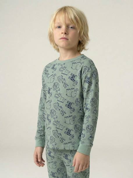Boy's jungle pyjamas sage green - vertbaudet enfant 