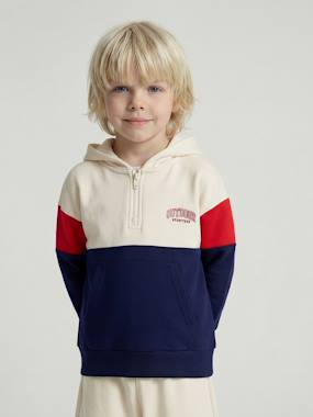 Boys-Cardigans, Jumpers & Sweatshirts-Sweatshirts & Hoodies-Boys' colour block hooded sweatshirt 