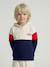 Boys' colour block hooded sweatshirt red - vertbaudet enfant 