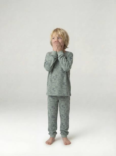Boy's jungle pyjamas sage green - vertbaudet enfant 