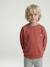 Long Sleeve Sweatshirt with Round Neckline for Boys dusky pink+pastel yellow - vertbaudet enfant 