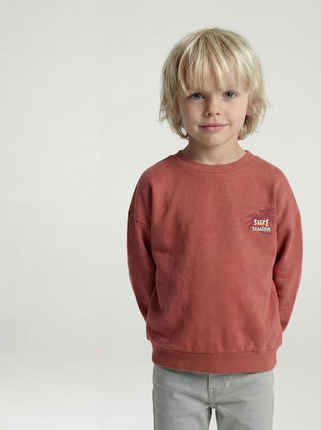 Sweat col rond garçon manches lo bois de rose+jaune pastel - vertbaudet enfant 