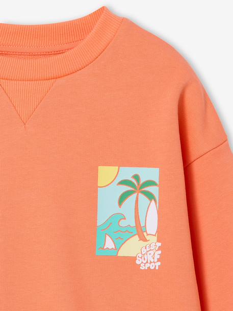 Round-neck long-sleeved sweatshirt for boys aqua green+mango+pale yellow - vertbaudet enfant 