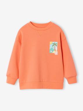 Sweat col rond manches longues - vertbaudet enfant Garçon-Sweat col rond manches longues