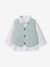 Set: shirt, cardigan and bow tie for babies sage green - vertbaudet enfant 