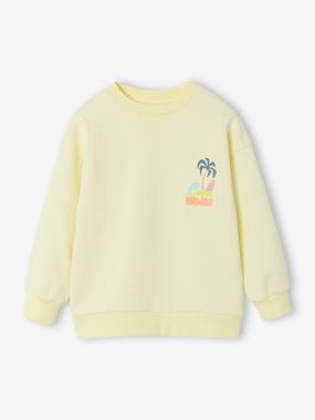 Sweat col rond manches longues - vertbaudet enfant Garçon-Sweat col rond manches longues