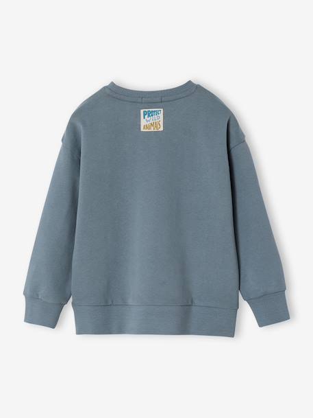 Round-neck long-sleeved sweatshirt for boys grey blue - vertbaudet enfant 