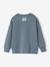 Round-neck long-sleeved sweatshirt for boys grey blue - vertbaudet enfant 