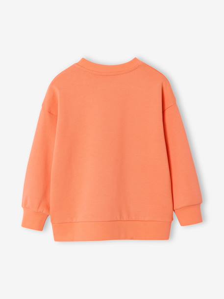 Round-neck long-sleeved sweatshirt for boys aqua green+mango+pale yellow - vertbaudet enfant 