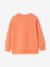 Round-neck long-sleeved sweatshirt for boys aqua green+mango+pale yellow - vertbaudet enfant 