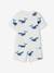 Pack of 2 boys' pyjamas shorts blue - vertbaudet enfant 