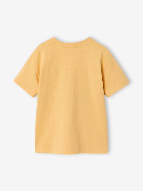 Boy's short-sleeved t-shirt anthracite+sky blue+yellow - vertbaudet enfant 