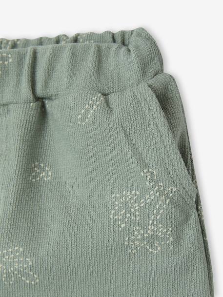 Ensemble short t-shirt à personnaliser noisette+vert sauge - vertbaudet enfant 